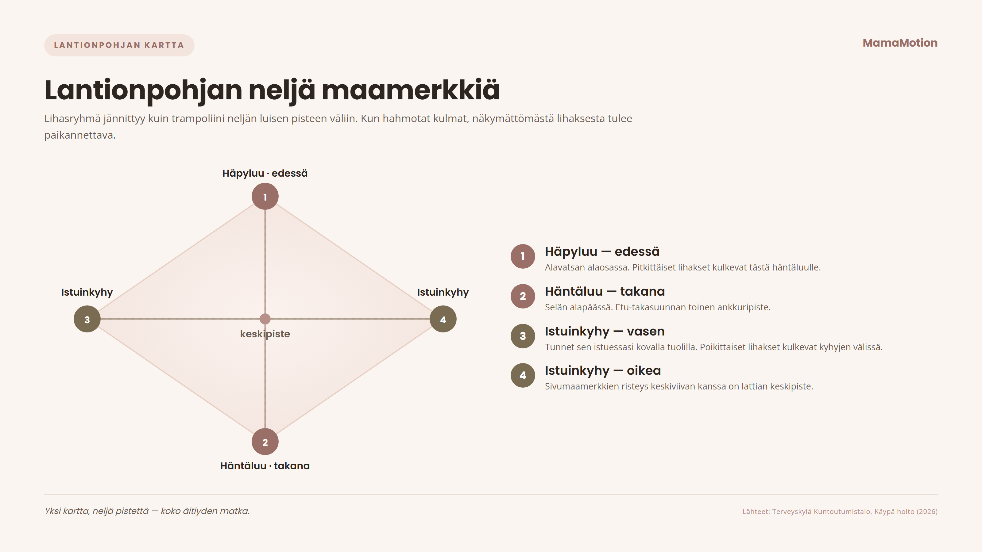 Lantionpohjan neljä maamerkkiä timanttiasetelmassa: häpyluu edessä, häntäluu takana ja kaksi istuinkyhyä sivuilla, lihaskalvo pingottuneena niiden väliin kuin trampoliini.