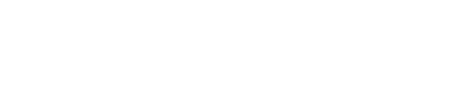 Our Experts
