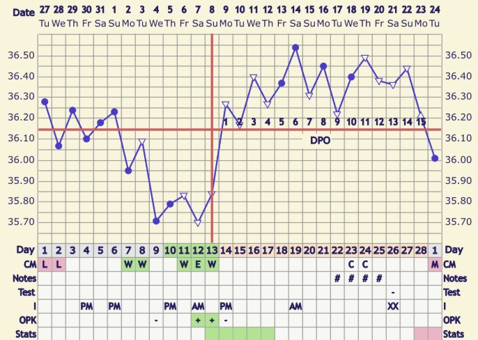 Lyndell's BBT chart before: temperatures jumping up and down