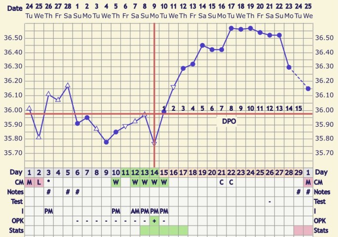 Lyndell's BBT chart after: a clear, steady temperature shift