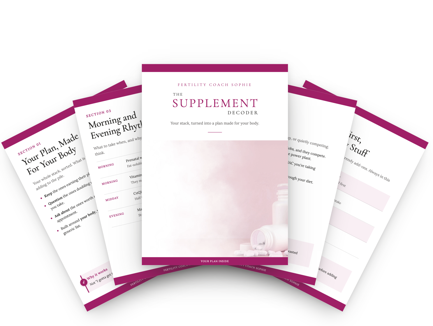 Preview of The Supplement Decoder pages