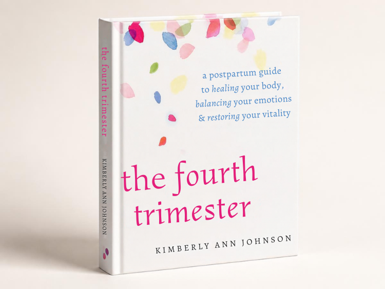 The Fourth Trimester book