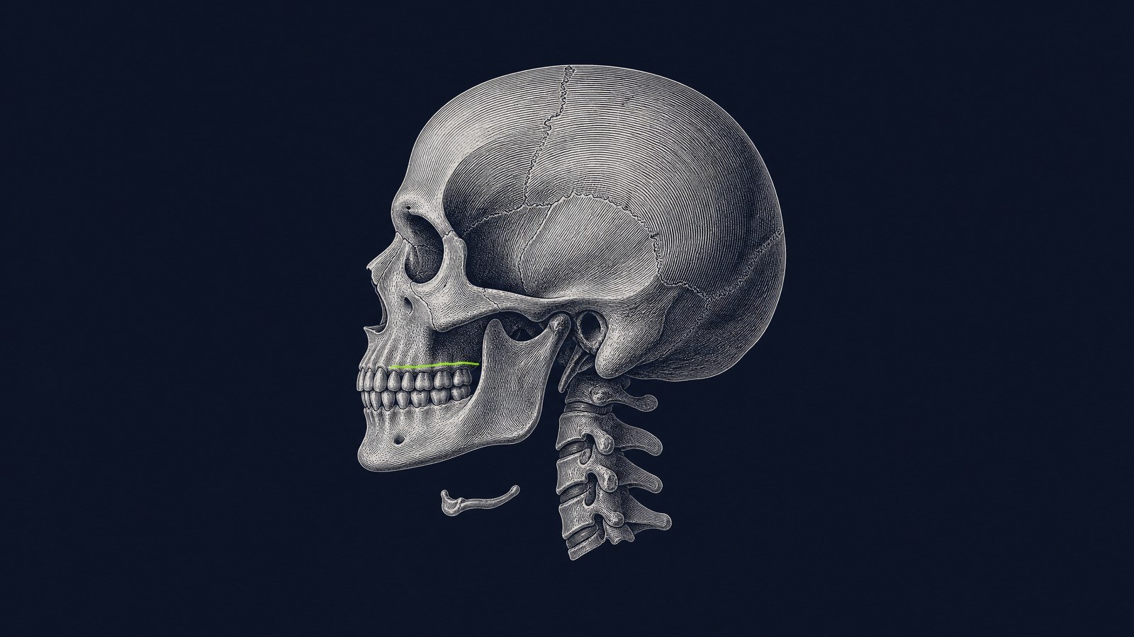 The cover of Year One, an engraved skull in profile on navy