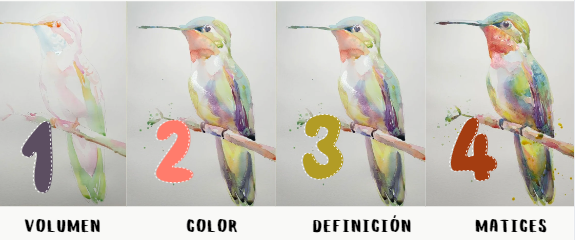 Las 4 capas del método: Volumen, Color, Definición, Matices