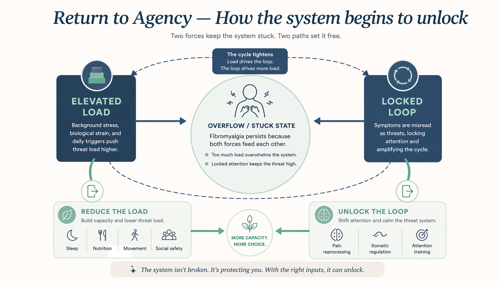 The recovery path: as load falls and safety rises, attention widens and agency returns