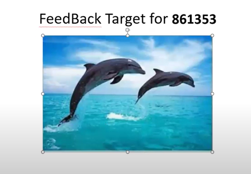 APP Fest 2024 Prediction 1 photosite
