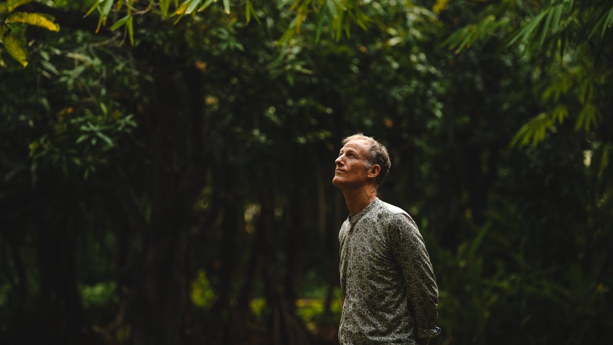A guest walking in the Sattva Campus forest at morning