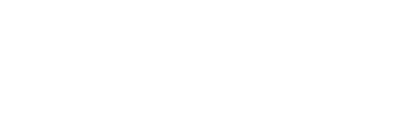 Non-Negotiables Party System
