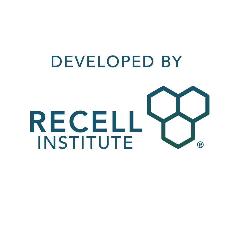 Developer logo
