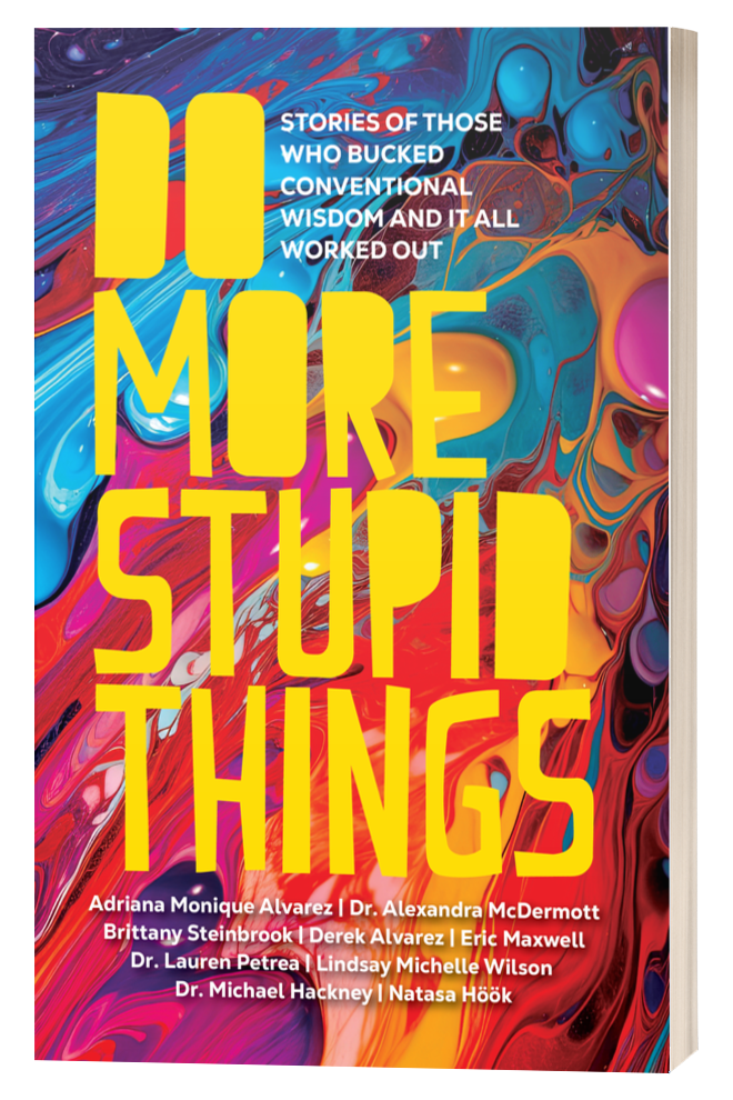 Do More Stupid Things book cover
