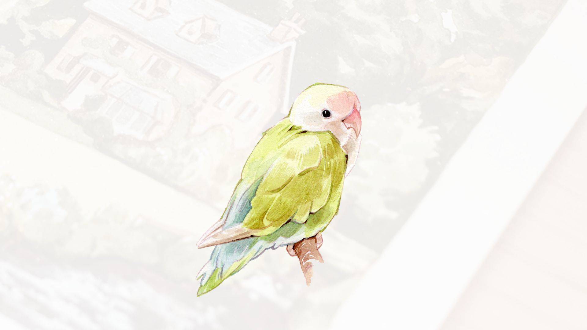 Feathers