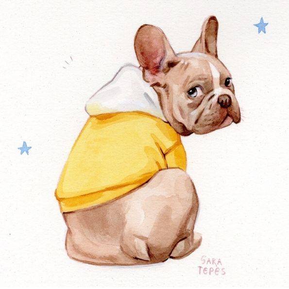 Choosing and Editing a Reference for Pet Portraits