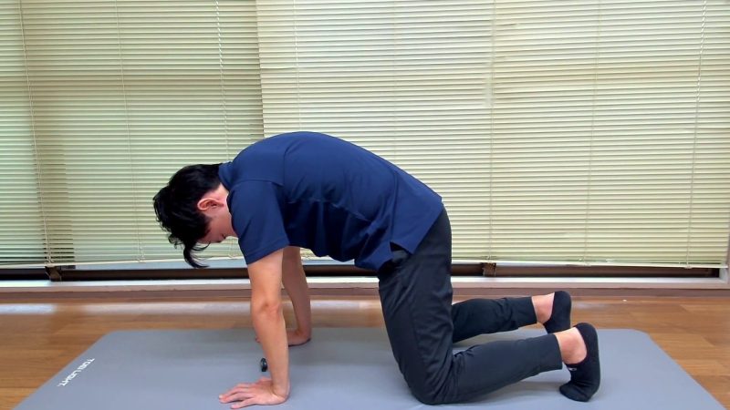四つ這いウェーブの実演