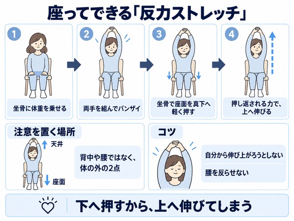 座ってできる反力ストレッチ ― 4つの手順と、注意を置く場所（座面と天井）