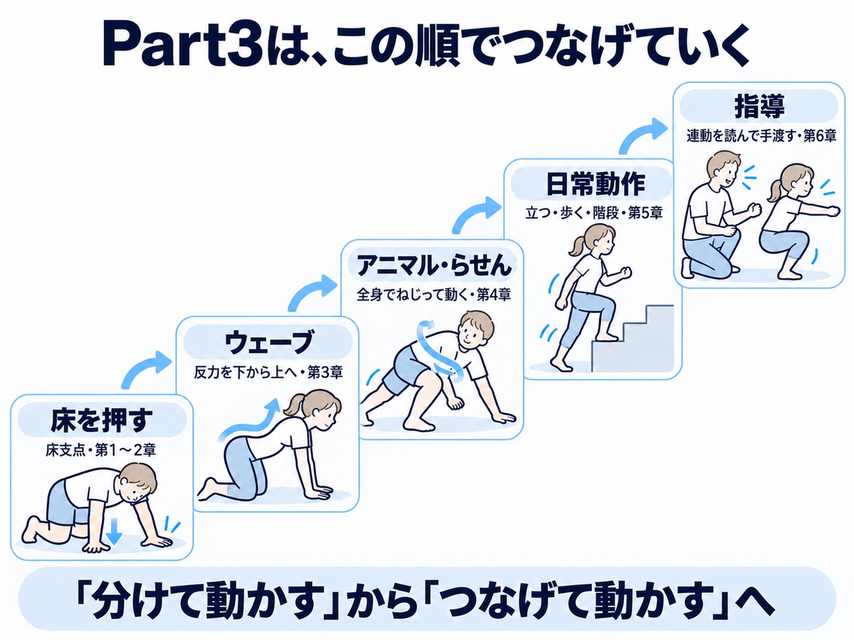 Part3の学ぶ順序。床を押す、ウェーブ、アニマル・らせん、日常動作、指導の順につなげていくことを示すイラスト