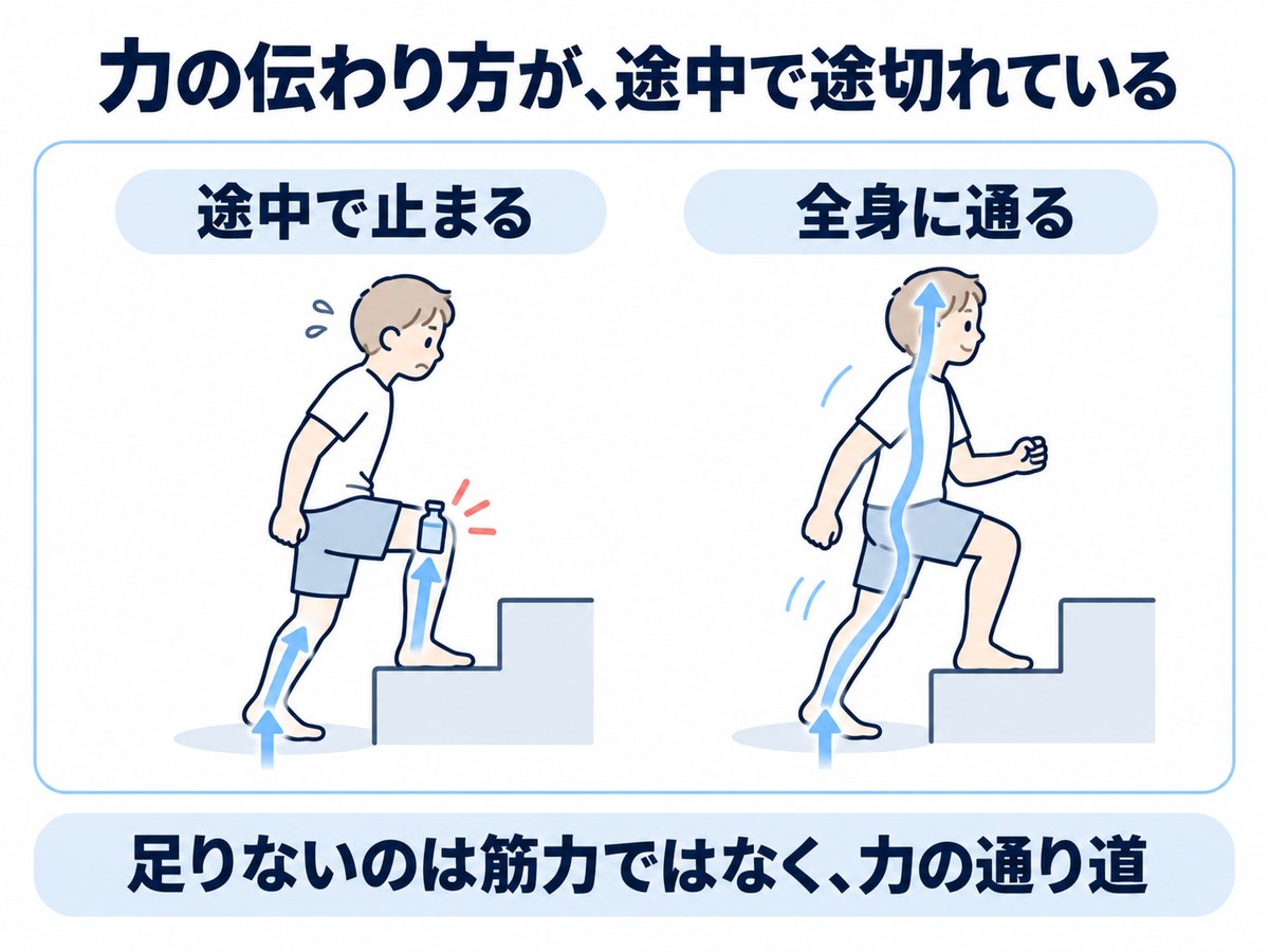 床からの力が膝で止まる場合と、全身に通る場合の比較イラスト