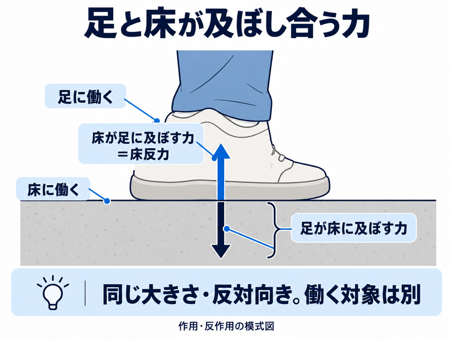 床に接する靴を側面から示す模式図。足に働く上向きの床反力と、床に働く下向きの力を、同じ大きさで反対向きの矢印として描き、二つの力が働く対象は異なると説明しています。