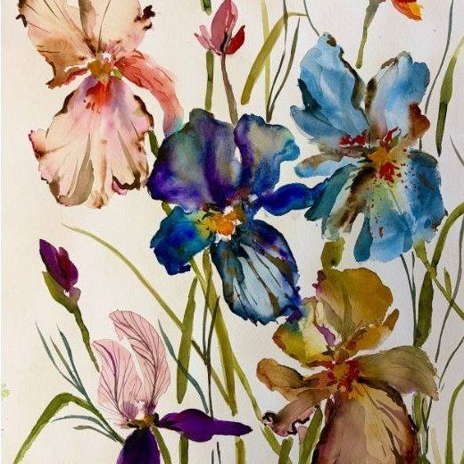 Iris Blooms