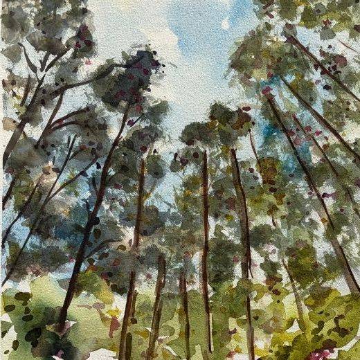Forest Landscape Painting