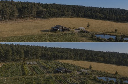 J.'s land coming back to life