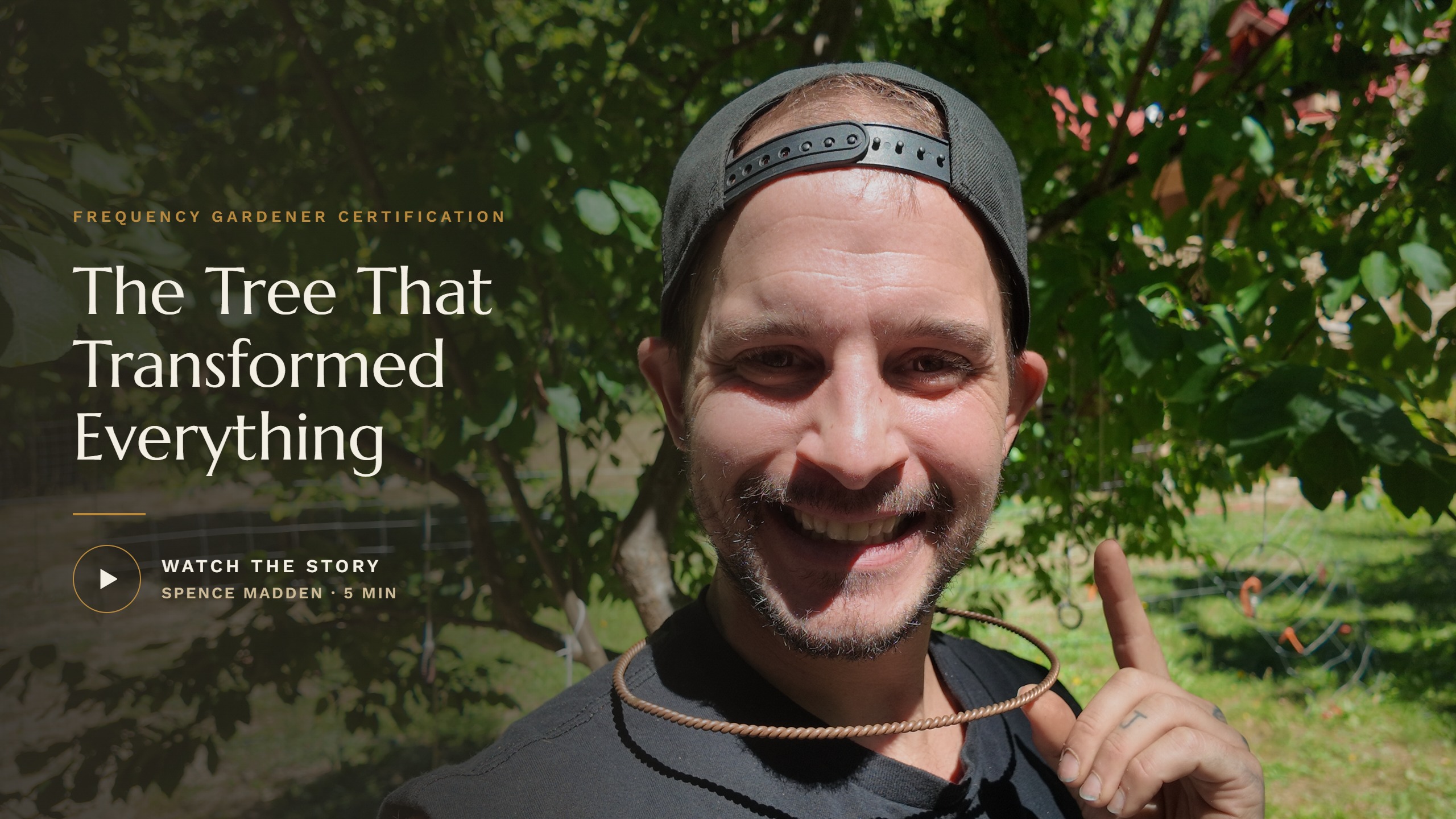 The Tree That Transformed Everything &mdash; watch the story with Spence Madden