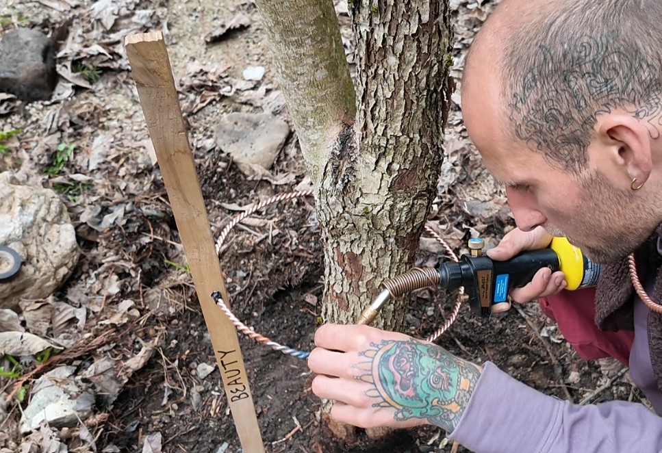 A Frequency Gardener at work on their own Land