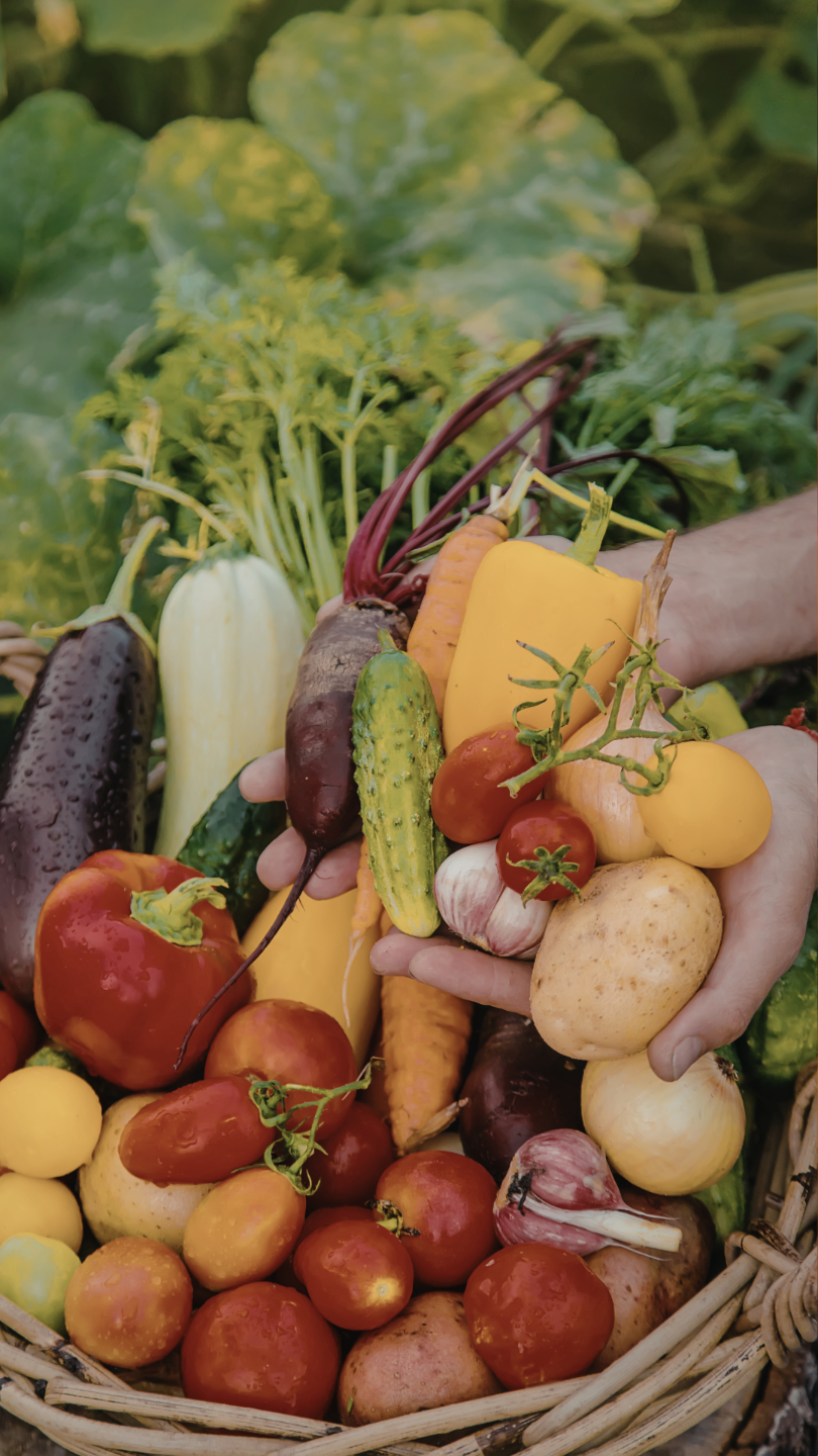 A harvest from Spence's own Land
