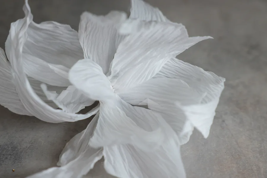 White edible crepe paper flower with textured petals