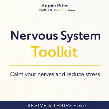 Nervous System Reset Toolkit