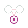 Connection Icon