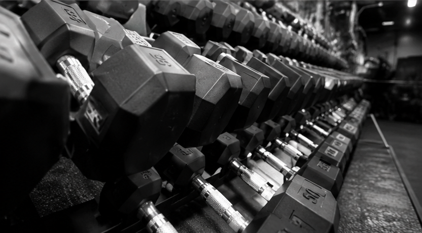 Basic Gym