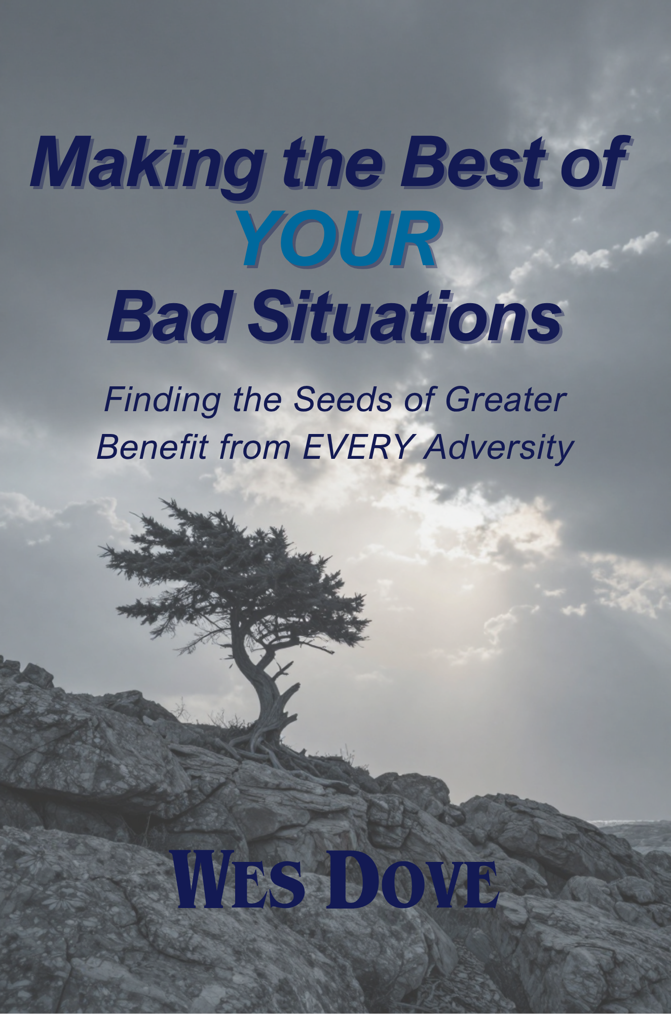 Making the Best of YOUR Bad Situations cover