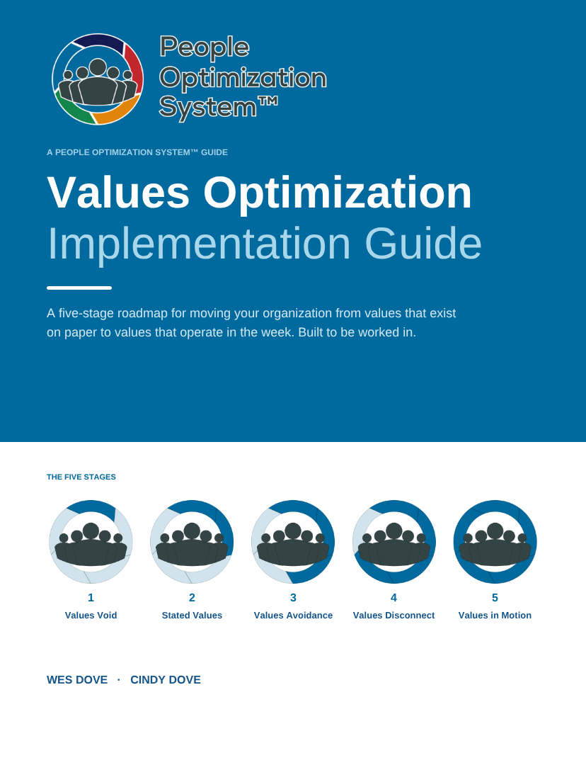 Values Optimization Implementation Guide cover