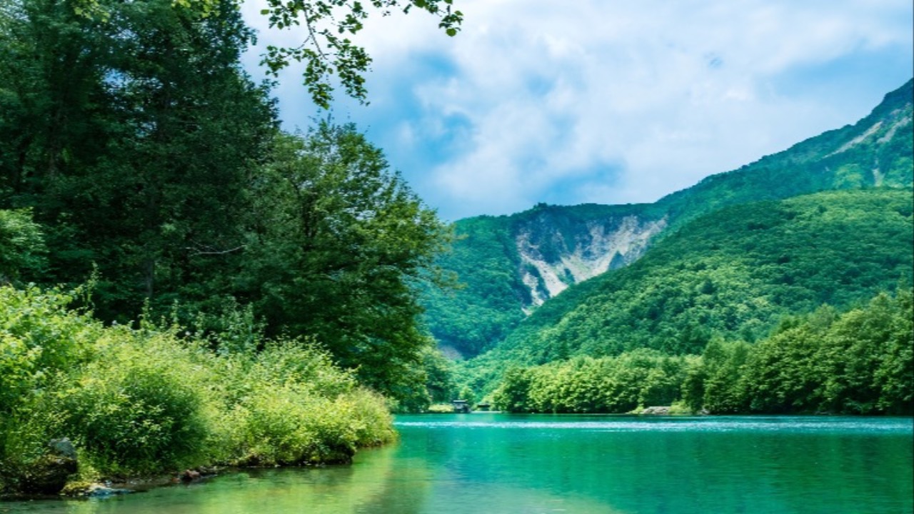 Green nature scene