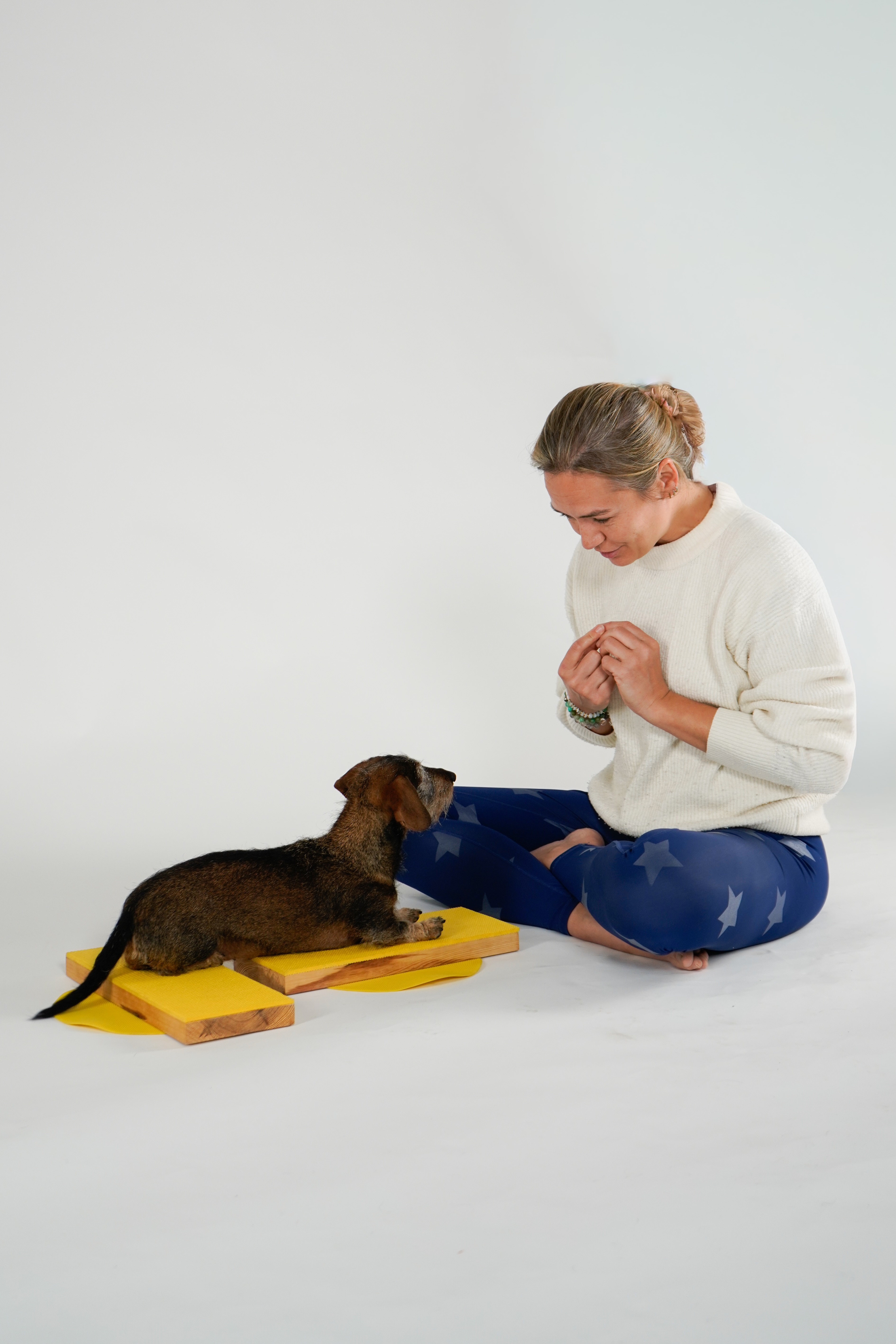 Myrtle the dachshund doing a balance exercise on wobble boards while Lucy watches