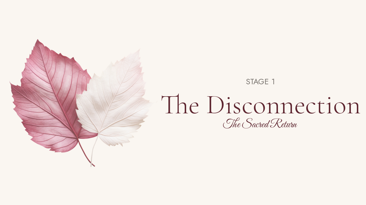 Stage 1: The Disconnection