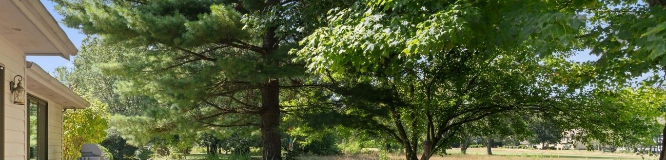 Peaceful outdoor CYLM setting