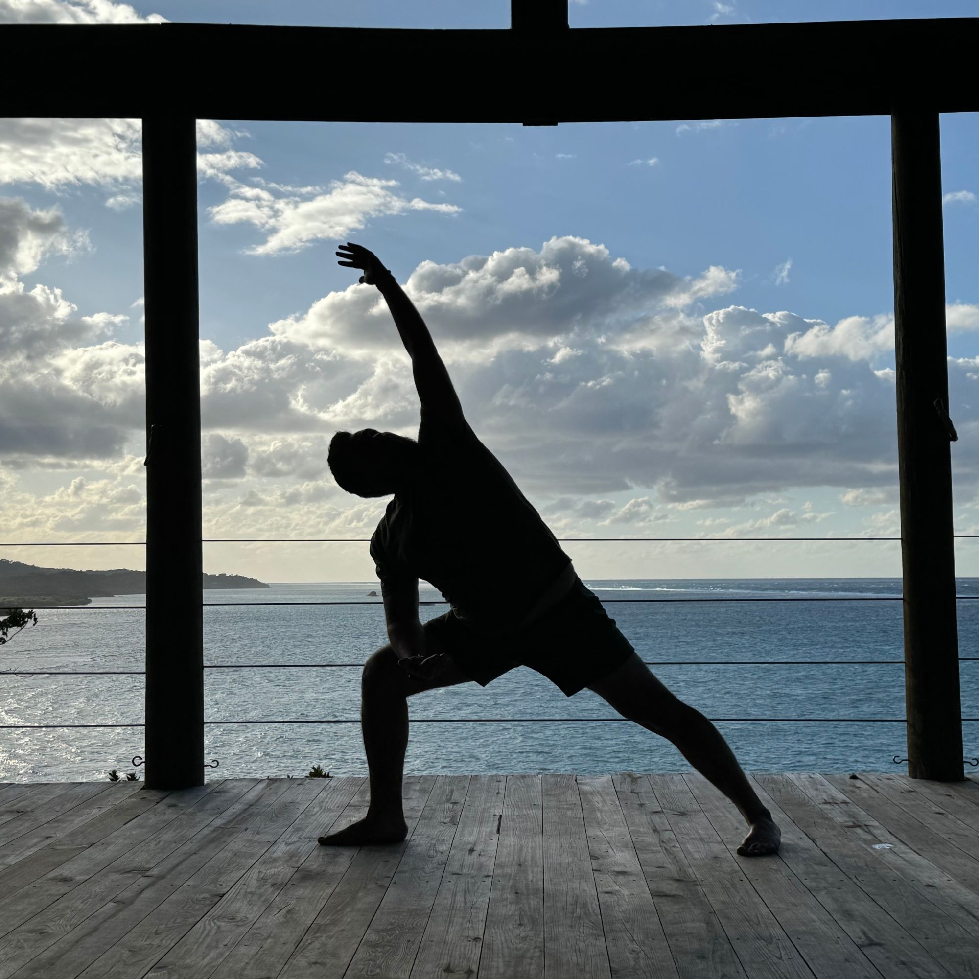 Person practicing movement beside the sea