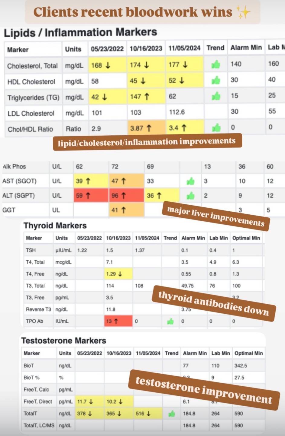 Client blood-work results showing improvements in lipid, liver, thyroid, and testosterone markers.