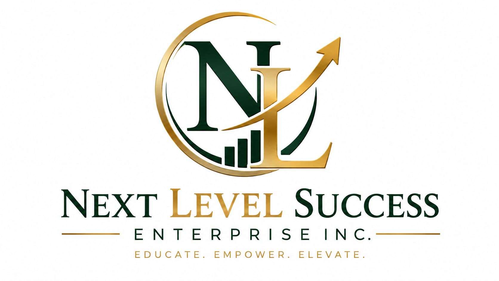Next Level Success Enterprise Inc. logo