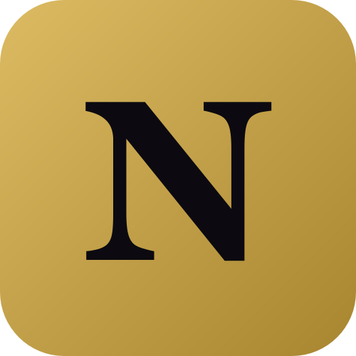 Next Level Success Enterprise logo