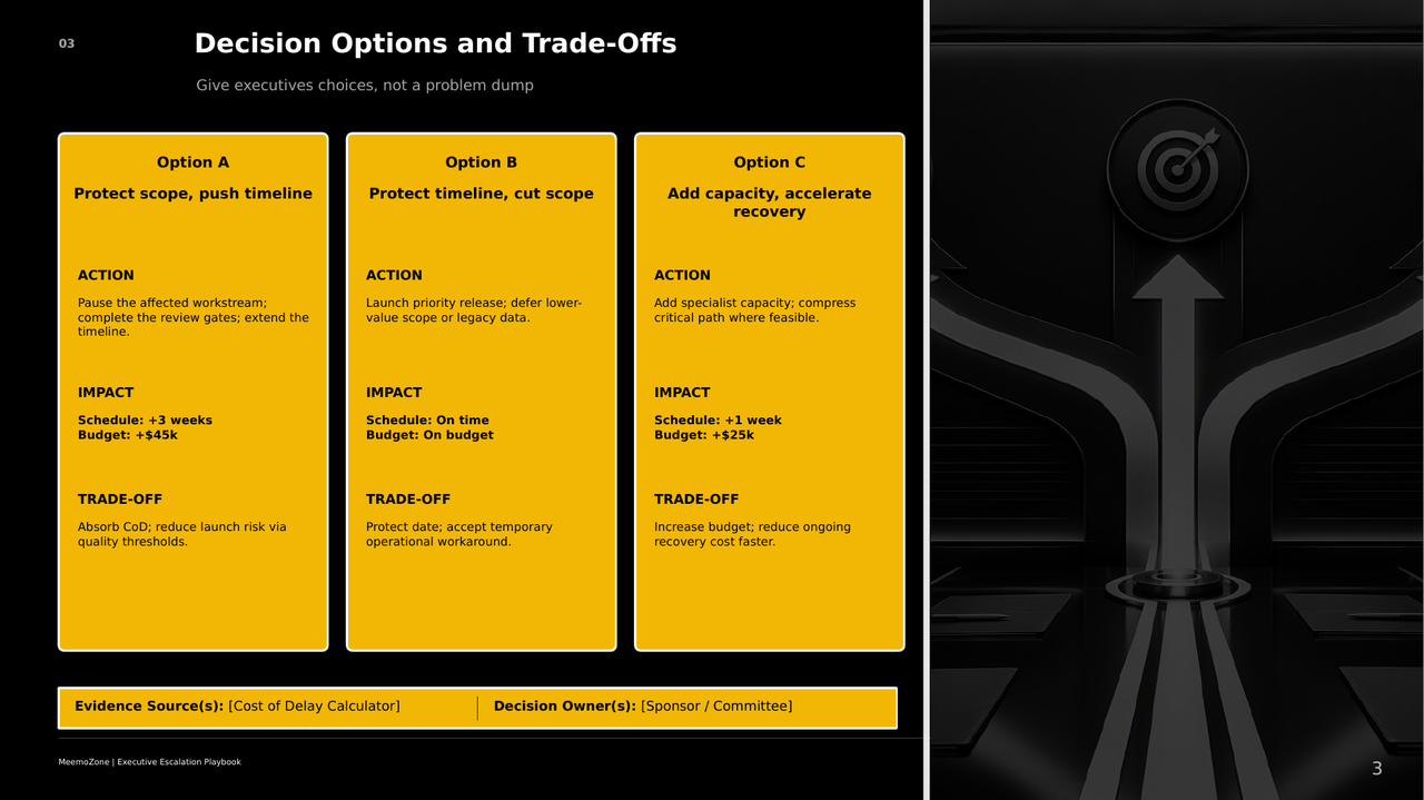 Briefing deck — decision options and trade-offs