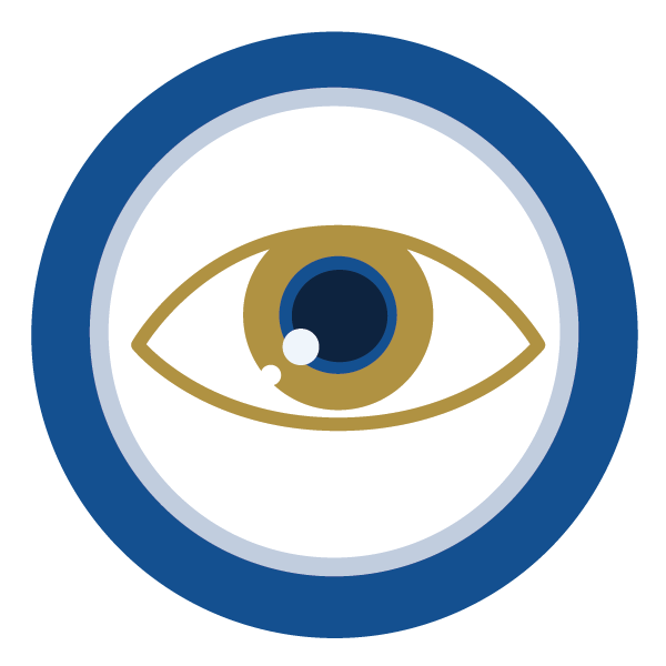 Customer Insights lens