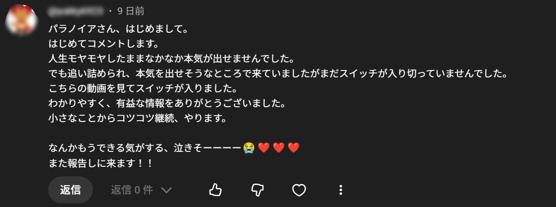 ParanoiaのYouTubeコメント 6