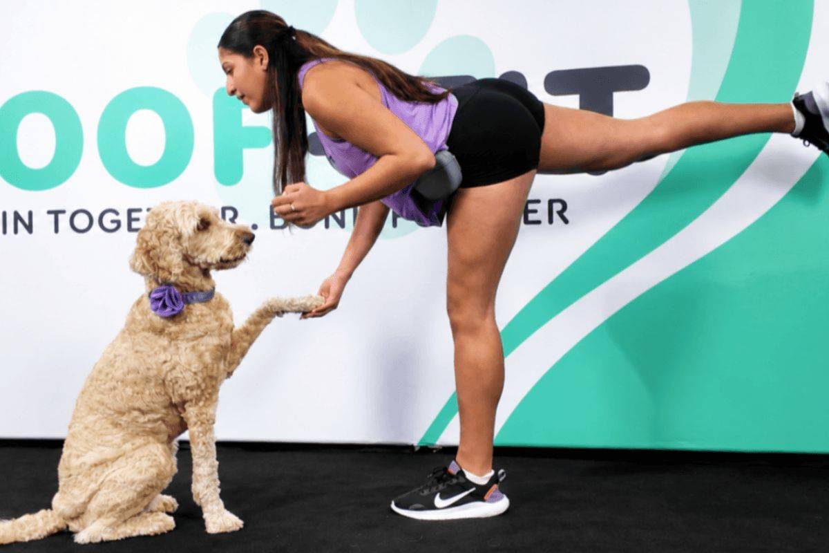 Legs & Paws