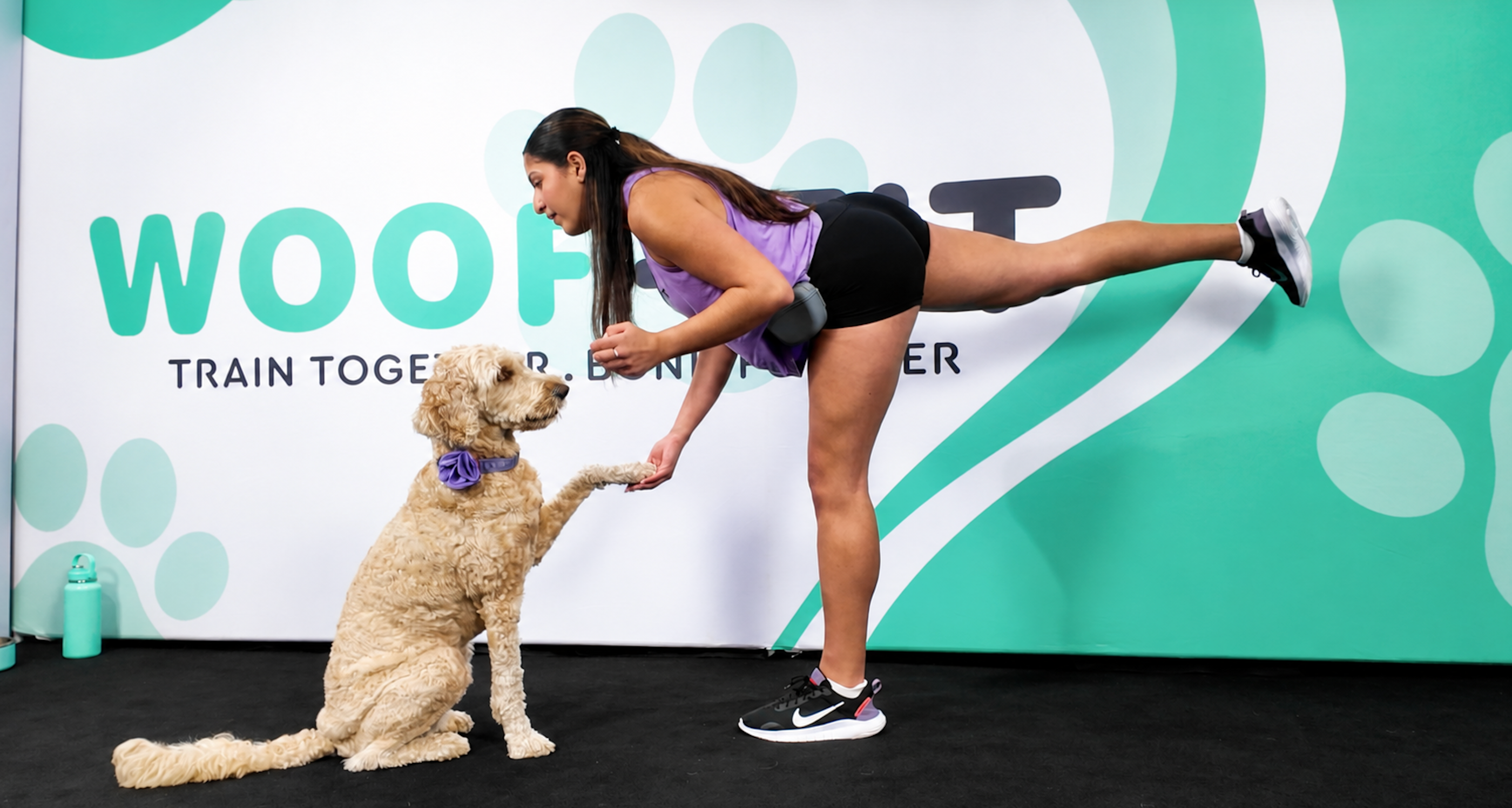 Legs & Paws