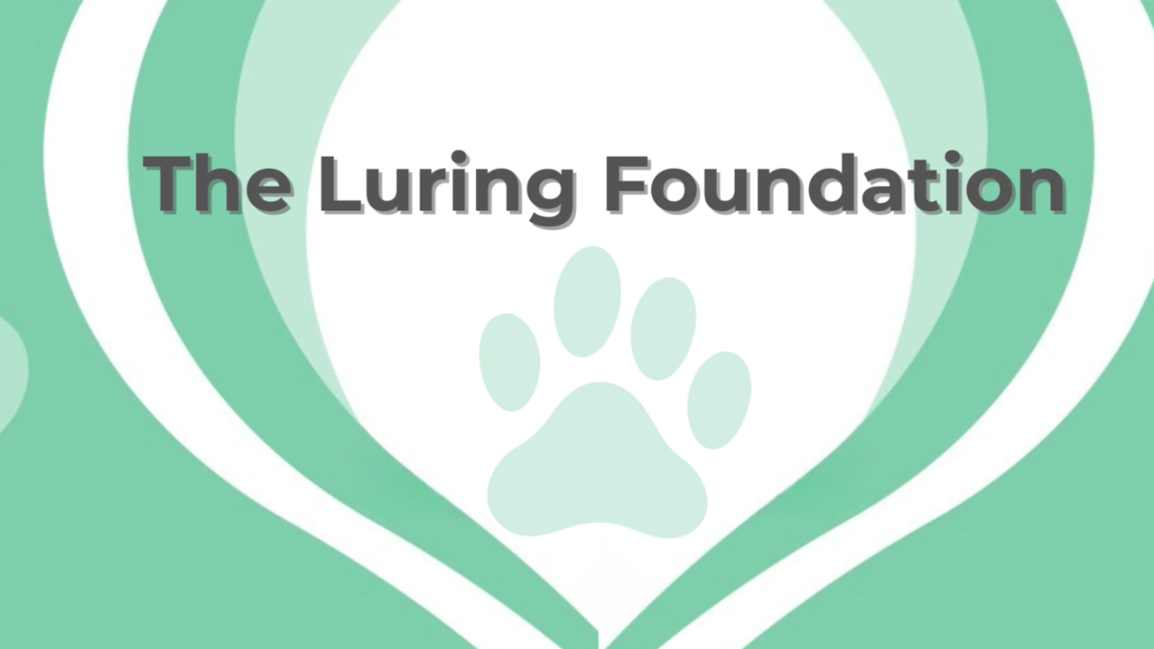 Luring Foundation Module