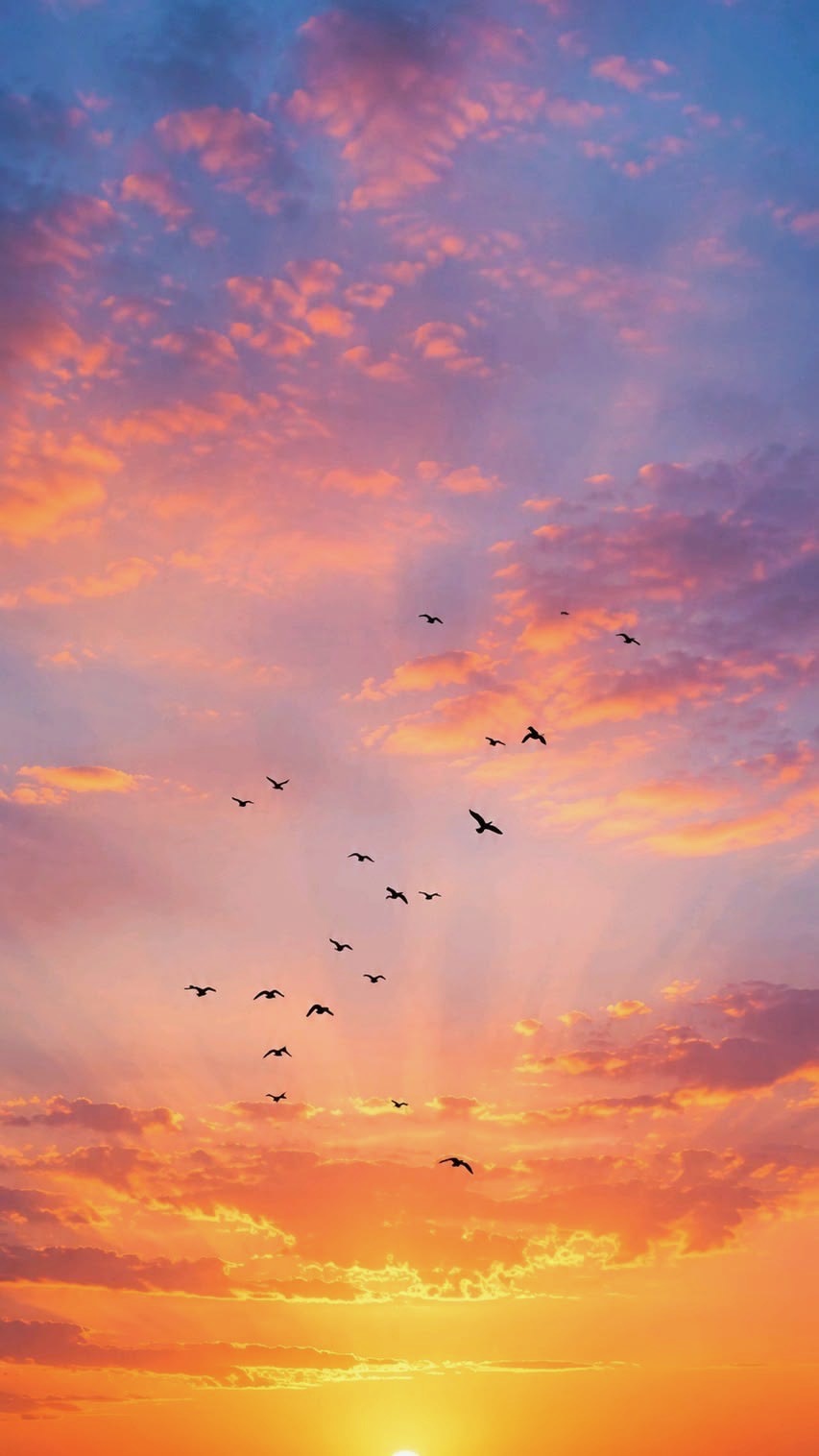 Birds crossing an open sunrise sky