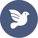 Freedom Icon