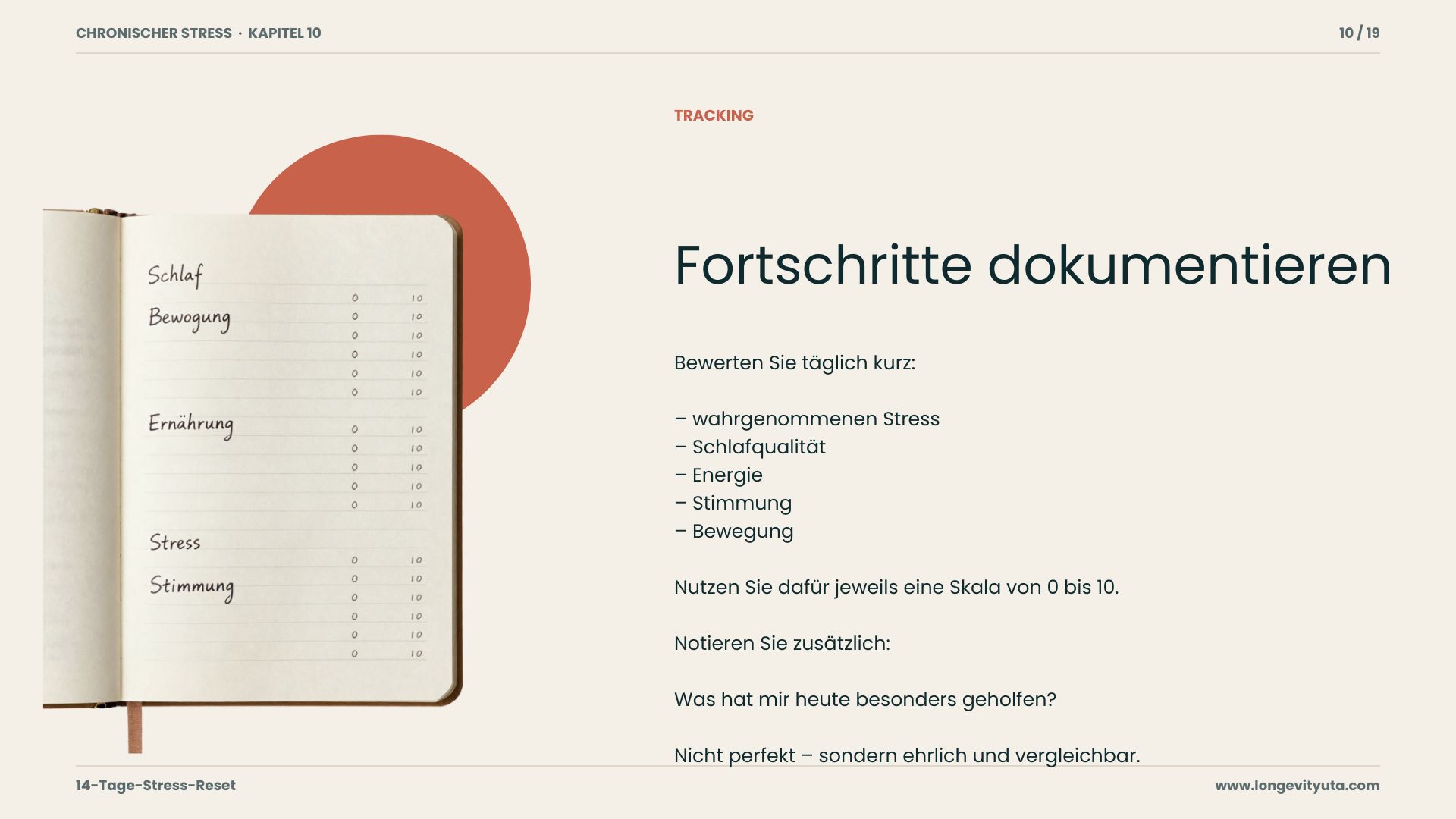 Kursfolie zur Dokumentation der Fortschritte im 14-Tage-Stress-Reset
